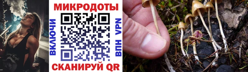 Галлюциногенные грибы Psilocybe  Купить  Новомосковск 